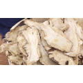 Health Herb Chinese Angelica Sinensis (Oliv.) Diels